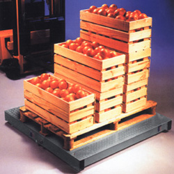 ELP Pallet scale
